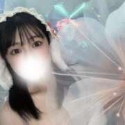 ヒメ日記 2025/04/22 00:03 投稿 まいか 恋するバニー