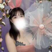 ヒメ日記 2025/05/18 13:51 投稿 まいか 恋するバニー