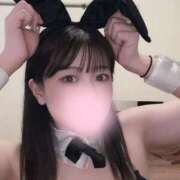 ヒメ日記 2025/05/19 17:55 投稿 まいか 恋するバニー