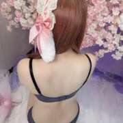 ヒメ日記 2025/07/24 09:56 投稿 まいか 恋するバニー