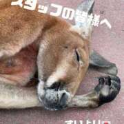 ヒメ日記 2026/01/01 00:31 投稿 すい【熊本店：くう】【S】保持者 天空のマット