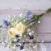 ヒメ日記 2024/12/23 15:23 投稿 実莉亜(みりあ) グランドオペラ横浜