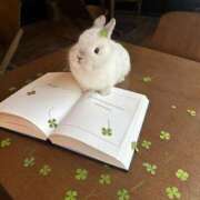 ヒメ日記 2025/02/25 00:26 投稿 実莉亜(みりあ) グランドオペラ横浜