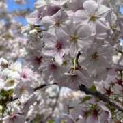 ヒメ日記 2025/04/06 12:21 投稿 実莉亜(みりあ) グランドオペラ横浜