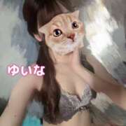 ヒメ日記 2025/11/06 11:38 投稿 ゆいな 若妻淫乱倶楽部 久喜店