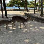 ヒメ日記 2025/02/04 08:08 投稿 紅葉(もみじ) エッチな熟女(広島)