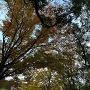 ヒメ日記 2025/02/12 07:48 投稿 紅葉(もみじ) エッチな熟女(広島)