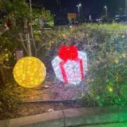 ヒメ日記 2025/02/13 12:22 投稿 紅葉(もみじ) エッチな熟女(広島)