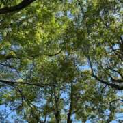 ヒメ日記 2025/06/15 07:50 投稿 紅葉(もみじ) エッチな熟女(広島)