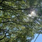 ヒメ日記 2025/09/06 07:53 投稿 紅葉(もみじ) エッチな熟女(広島)