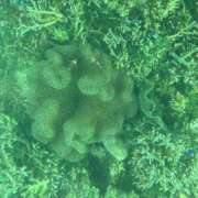 ヒメ日記 2025/09/08 08:00 投稿 紅葉(もみじ) エッチな熟女(広島)