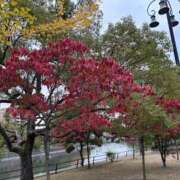 ヒメ日記 2025/11/13 09:59 投稿 紅葉(もみじ) エッチな熟女(広島)