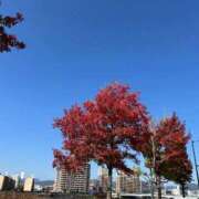 ヒメ日記 2025/11/24 07:50 投稿 紅葉(もみじ) エッチな熟女(広島)