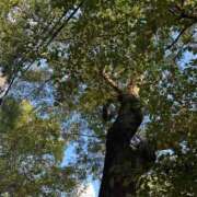 ヒメ日記 2025/12/03 07:25 投稿 紅葉(もみじ) エッチな熟女(広島)