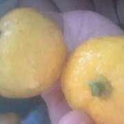 ヒメ日記 2025/12/23 23:10 投稿 紅葉(もみじ) エッチな熟女(広島)