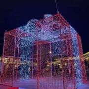 ヒメ日記 2025/12/25 08:00 投稿 紅葉(もみじ) エッチな熟女(広島)