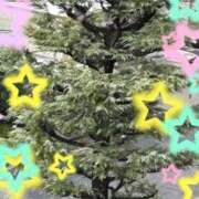 ヒメ日記 2025/12/26 07:59 投稿 紅葉(もみじ) エッチな熟女(広島)