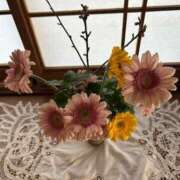 ヒメ日記 2026/01/25 21:50 投稿 紅葉(もみじ) エッチな熟女(広島)