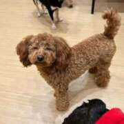 ヒメ日記 2026/01/29 00:25 投稿 紅葉(もみじ) エッチな熟女(広島)