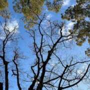 ヒメ日記 2026/01/30 00:40 投稿 紅葉(もみじ) エッチな熟女(広島)