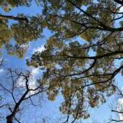 ヒメ日記 2026/02/01 08:21 投稿 紅葉(もみじ) エッチな熟女(広島)