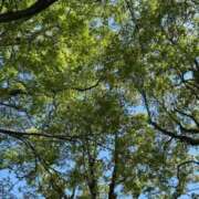 ヒメ日記 2026/02/11 06:20 投稿 紅葉(もみじ) エッチな熟女(広島)