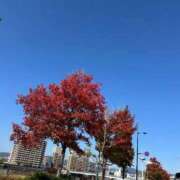 ヒメ日記 2026/02/13 05:20 投稿 紅葉(もみじ) エッチな熟女(広島)