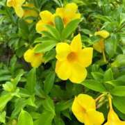 ヒメ日記 2026/02/16 06:35 投稿 紅葉(もみじ) エッチな熟女(広島)