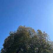 ヒメ日記 2026/02/18 06:00 投稿 紅葉(もみじ) エッチな熟女(広島)