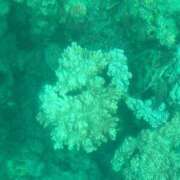 ヒメ日記 2026/02/20 05:00 投稿 紅葉(もみじ) エッチな熟女(広島)