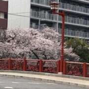 すみれ お久しぶりです🌸 ぺろぺろベロベロ専科 ぺろんちょ