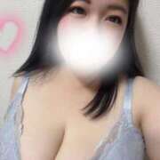 ヒメ日記 2024/12/12 09:19 投稿 ぺこ 奥様なでしこ