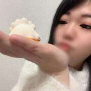 ヒメ日記 2024/12/13 06:34 投稿 ぺこ 奥様なでしこ