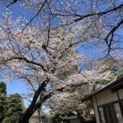 ヒメ日記 2025/04/03 18:34 投稿 なつな 美熟女倶楽部Hip's 春日部店