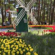 ヒメ日記 2025/06/16 14:24 投稿 なつな 美熟女倶楽部Hip's 春日部店