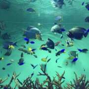 ヒメ日記 2025/08/31 20:00 投稿 なつな 美熟女倶楽部Hip's 春日部店