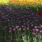 ヒメ日記 2025/12/11 18:13 投稿 なつな 美熟女倶楽部Hip's 春日部店