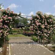 ヒメ日記 2026/01/05 19:12 投稿 なつな 美熟女倶楽部Hip's 春日部店