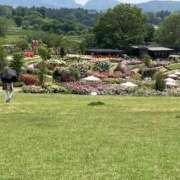 ヒメ日記 2026/01/12 18:22 投稿 なつな 美熟女倶楽部Hip's 春日部店