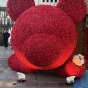 ヒメ日記 2026/01/19 17:54 投稿 なつな 美熟女倶楽部Hip's 春日部店