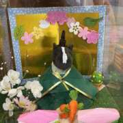 ヒメ日記 2026/03/03 19:02 投稿 なつな 美熟女倶楽部Hip's 春日部店