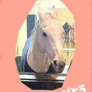 ヒメ日記 2026/04/03 17:02 投稿 なつな 美熟女倶楽部Hip's 春日部店