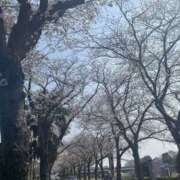 ヒメ日記 2026/04/04 19:27 投稿 なつな 美熟女倶楽部Hip's 春日部店