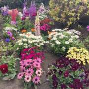 ヒメ日記 2026/04/09 17:22 投稿 なつな 美熟女倶楽部Hip's 春日部店