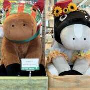 ヒメ日記 2026/09/23 18:33 投稿 なつな 美熟女倶楽部Hip's 春日部店