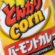 ヒメ日記 2024/12/16 19:24 投稿 石川 すい マーベリック横浜