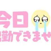 ヒメ日記 2024/12/23 10:04 投稿 石川 すい マーベリック横浜
