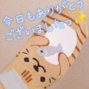 ヒメ日記 2025/01/23 17:04 投稿 石川 すい マーベリック横浜