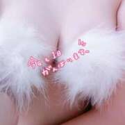 ヒメ日記 2025/01/25 07:54 投稿 石川 すい マーベリック横浜