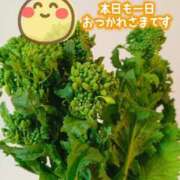 ヒメ日記 2025/01/30 18:34 投稿 石川 すい マーベリック横浜